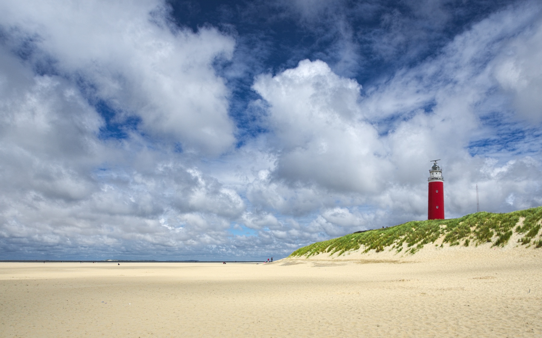 texel-2184346 Cropped